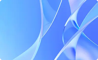 How to Install Droip into Local WP Server?